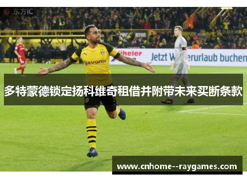 多特蒙德锁定扬科维奇租借并附带未来买断条款