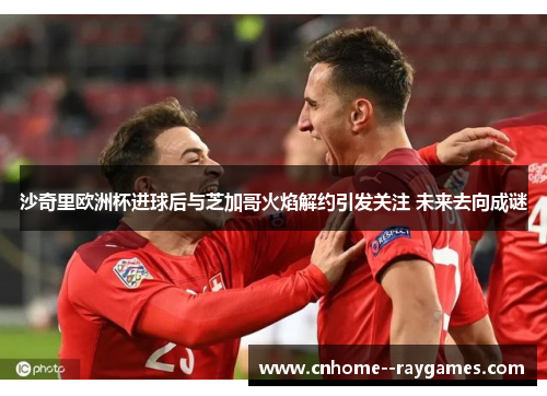 沙奇里欧洲杯进球后与芝加哥火焰解约引发关注 未来去向成谜 沙奇里欧洲杯进球后与芝加哥火焰解约引发关注 未来去向成谜